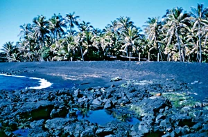Vintage 1961 Volcanic Beach Palm Trees Hawaii Kodachrome Print Photo 8 X 10 - Picture 1 of 2