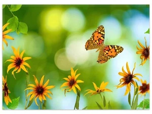 Wallario Teppich Fußmatte ab 50x70cm -Motiv Blumen Schmetterling Garten Natur - Bild 1 von 7