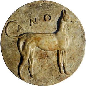 Tondo del Cirneco siciliano copia moneta Magna Grecia - Sicilian Greyhound 12041 - Imagen 1 de 1