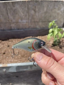 Custom Painted Crankbait 2.5 Squarebill Silent Super Ghost Shad Fastback - Bild 1 von 6