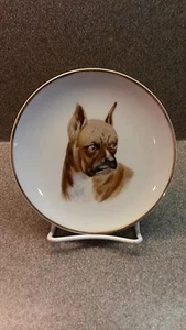 VINTAGE CHERRY CHINA PORCELAIN BOXER DOG WALL HANGING PLATE JAPAN - Picture 1 of 2