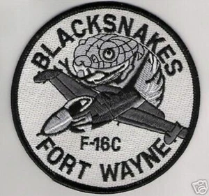 USAF FIGHTER SQN PILOT SHOULDER PATCH: FORT WAYNE ANG F-16C 122ND BLACKSNAKES - Imagen 1 de 2