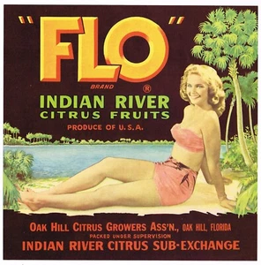 ORIGINAL FLO CRATE LABEL FLORIDA 9X9 PIN UP OAK HILL BEAUTY 1940 VINTAGE BEACH - Bild 1 von 1