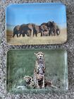 African Mini Plastic Trinket Rectangular Plates Elephants Cheetah Nairobi 