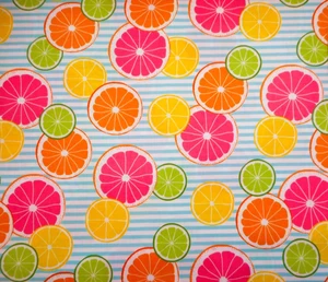 Obst Stoff Meterware Orange Grapefruit Zitrone Limette Scheiben auf blau & weiß Baumwolle - Bild 1 von 2