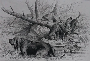 GRABADO AMERICANO, SIGLO 19, BLOODHOUNDS - Imagen 1 de 2