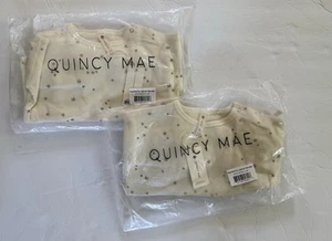 (2) Quincy Mae Long Sleeve Tee & Pant Set 12-18 months TWINS Girl or Boy NWT - Picture 1 of 9
