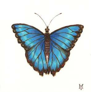 4x4 IMPRESIÓN DE PINTURA RYTA AZUL MORPHO MARIPOSA arte popular decoración de primavera 🙂 - Imagen 1 de 1