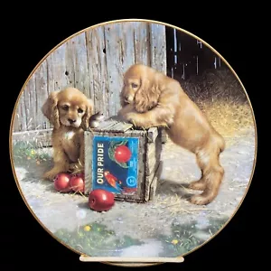 Double Take Puppy Playtime Sammelteller von Jim Lamb 1987 Cocker Spaniel - Bild 1 von 5
