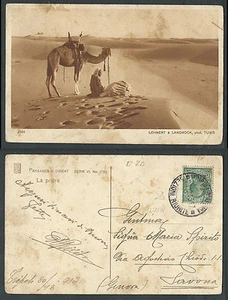 CARTOLINA LIBIA DESERTO ARABO CON CAMMELLO - C - Bild 1 von 1