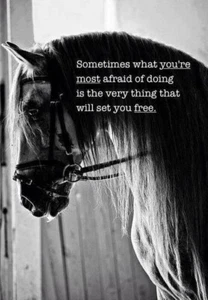 Inspirational horse refrigerator magnet 3 1/2"x 4 1/2" - Picture 1 of 1