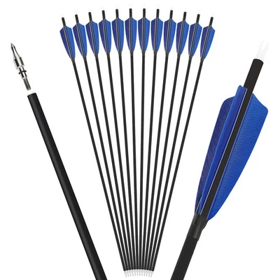 28" 30" 31" Archery Carbon Arrow SP500 Turkey Feather Recurve Bow Hunting Target - Image 1 of 4