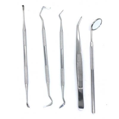 BOMAOER 5pcs/kit Dental kit Professional Oral Hygiene Kit Stainless Steel Deep Clean