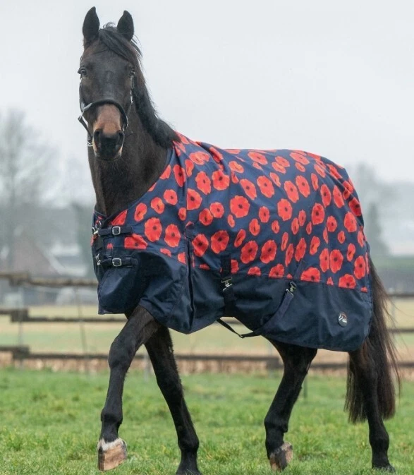 HKM Poppy Weidedecke Gr. 125 135 145 155 165 Regendecke mit Fleece - Bild 1 von 2