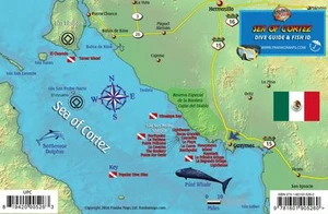 Central Sea of Cortez San Carlos Baja Dive Map Fish Card Waterproof Franko Maps - Picture 1 of 2
