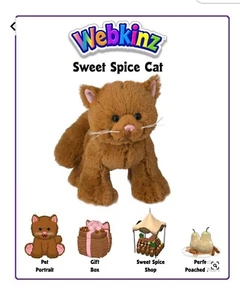 WEBKINZ PET ADOPTION CODE FOR SWEET SPICE CAT HM839 -NO ACTUAL PET- EMAIL ONLY - Picture 1 of 1