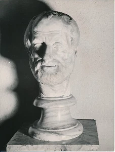 PARIS Le Louvre c. 1950 - Photo Buste Antique Aristote - NV 6054 - Imagen 1 de 2