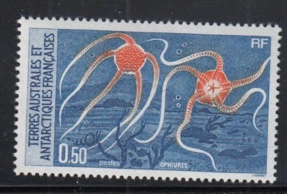 FRENCH SOUTHERN & ANTARCTIC TERRITORIES Brittle Stars MNH stamp - Image 1 of 1