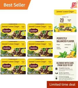 Jammin' 6-Pack Lemon Ginger Herbal Tea Boxes - Natural, Eco-Friendly Bags - Picture 1 of 7