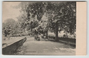 Cartolina College Mount Saint Vincent Maple Way a Riverdale, NY cavallo e passeggino - Foto 1 di 2