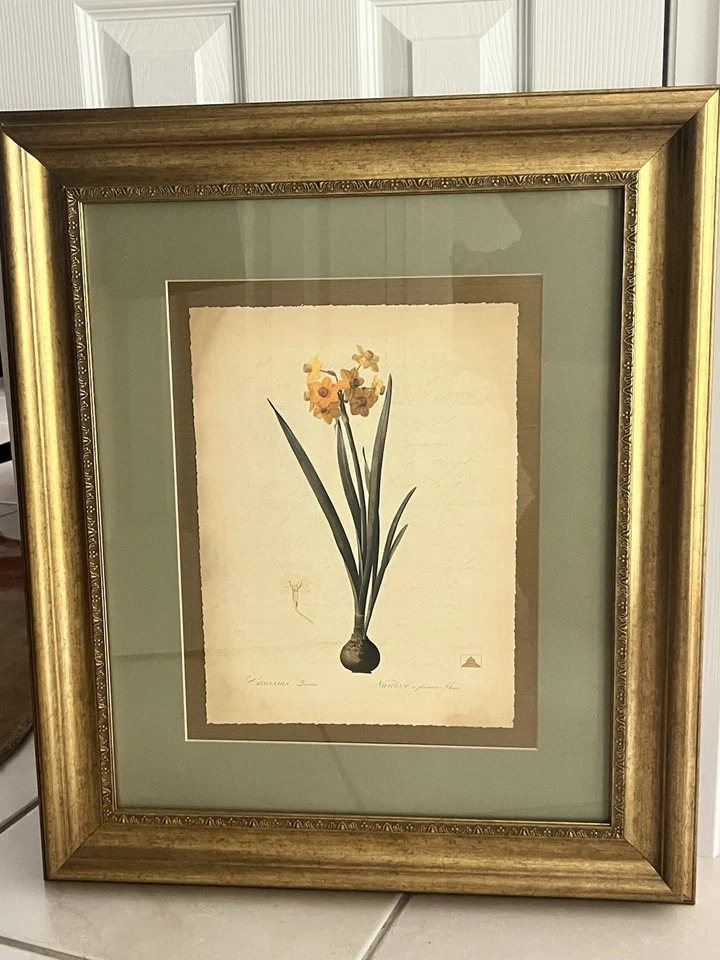 Impresiones enmarcadas en 4 colores Pierre-Joseph Redoute Jardín Botánico de Nueva York Foto 1 de 4