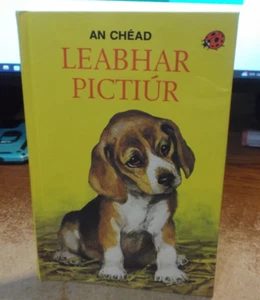 An Chead Leabhar Pictiur (The Picture Book License) - Irish - HC - Bild 1 von 8