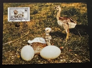 URUGUAY 1993 WWF BIRDS BABY OSTRICH MAXICARD 1ST DAY ISSUE -S18470 - Picture 1 of 1