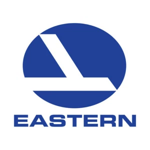 2x eastern airlines vinyl car sticker, decal, window laptop ORACAL 651 - Picture 1 of 2