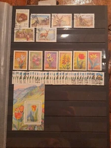 piccola collezione Uzbekistan - Foto 1 di 7