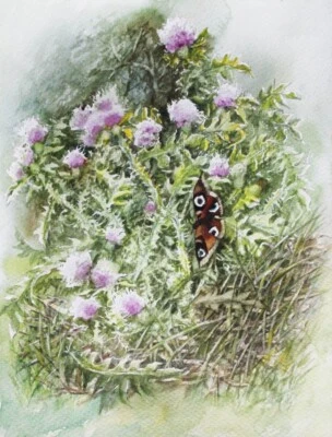 Butterfly Thistles Landscape Watercolour Painting Botanical Art Country Summer - Image 1 of 4