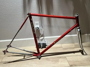 Faggin Campione Del Mundo Vintage Steel Frameset 54cm - Picture 1 of 13