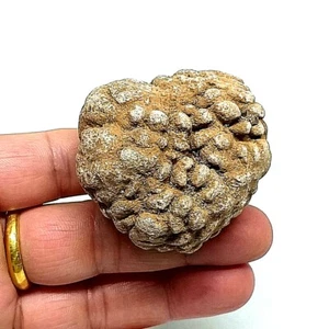 100% Original Gran Corazón Reliquia Sivali 103g AMULETO PIEDRA SANTA EN LA CUEVA DE LAOS - Imagen 1 de 12