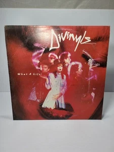 Divinyls "What A Life! " 1985 Aus Promo Pop Rock Vinyl LP - Picture 1 of 8