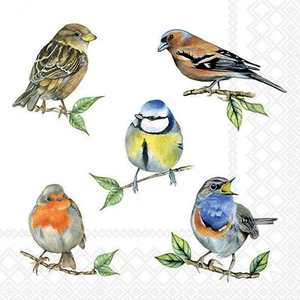 Garden Birds Paper Napkins 3 Ply Nature Tea Party Serviettes Decoupage x 20 - Picture 1 of 1