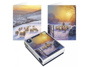 Tom Smith Luxury Assortimenti in Scatola Sunset Sheep Confezione da 20 - Foto 1 di 1