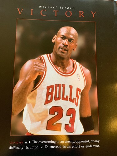 MICHAEL JORDAN (THE GREAT CHICAGO FLYER その他スポーツ