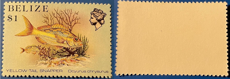 伯利兹 1984 年 1 美元黄尾 Snapper Sc-711 全新无标签 #W3 - 美国卖家 — 第 1/1 张图片