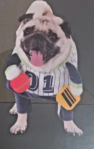 Hund Haustier Pickle Ball vorne Kostüm Auswahl Größe Small oder Medium - Bild 1 von 15