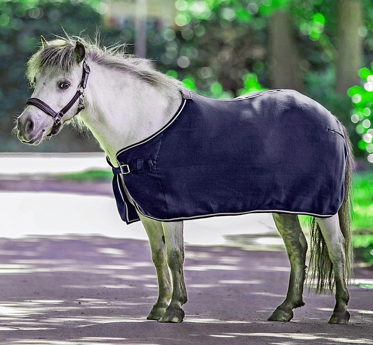 Horse Hoof Shoes Scarpe Zoccoli Di Cavallo Easy Scarpe Stinchiere