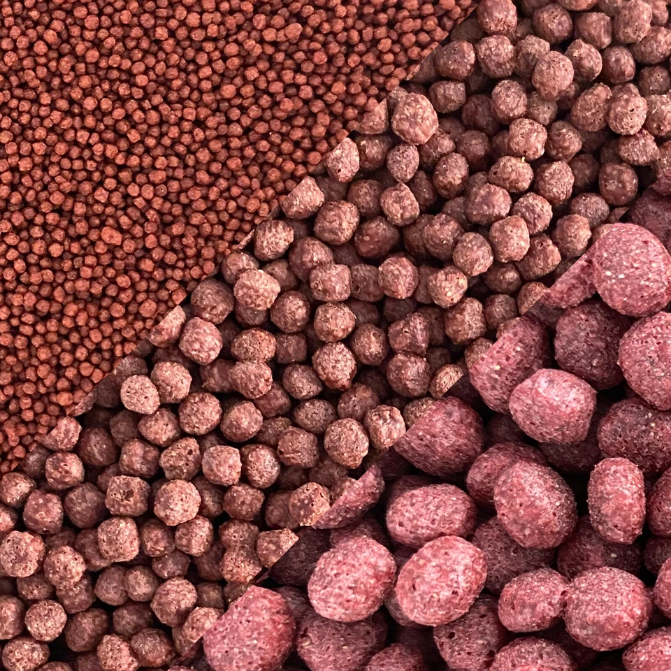 1kg Tropical Fish Food Floating Pellet Granulated Colour Enhancing Aquarium Food - Image 1 of 1