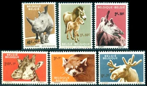 1961 Zoológico de Amberes, rinoceronte, caballo, okapi, jirafa, panda rojo, alce, Bélgica, Mi.1242, montado montado - Imagen 1 de 1