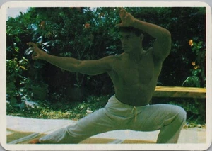 1995 JEAN-CLAUDE VAN DAMME Portuguese Pocket Calendar 10 x 7 cm (4" x 2.75") #12 - Picture 1 of 2