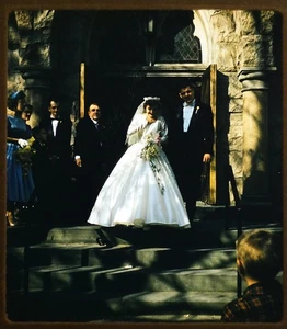 Wedding couple & group photo - 1954 Stereo Realist slide #1911 - Picture 1 of 3