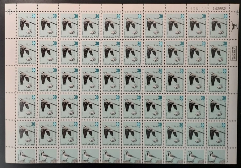 Israel 1992 aves (30 val.) #1135 Hoja completa de 50 MNH Foto 1 de 1