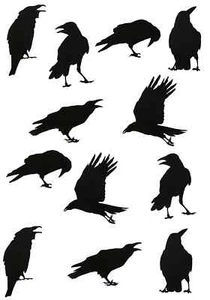 Black Crow Stickers - Picture 1 of 9