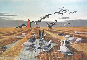 BLUES, SNOW, RAIN & BARLEY+ (2 Stk. set) CANADIAN & MALLARD TRIO s/n Les Kouba  - Bild 1 von 3