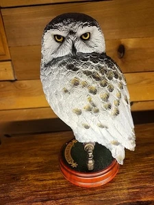 Harry Potter Hedwig Owl 9.5" Escultura pintada a mano The Noble Collection - Imagen 1 de 10