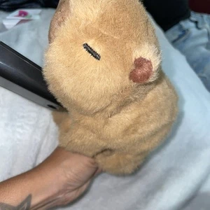 New Cute Capybara That Hugs Your Wrists, Soft ,Good Grip -Kids Companion Plush - Picture 1 of 8