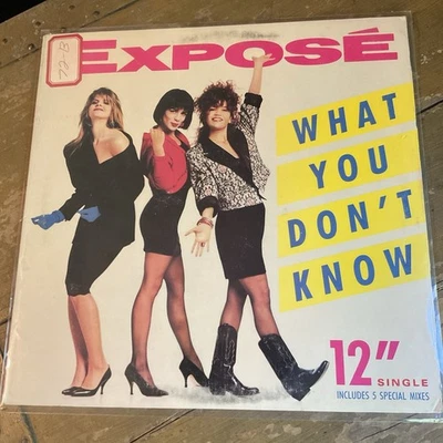 Expose/What You Don’t Know/ARISTA EX/VG+ OUTER REC SLEEVE WONDERFUL PLAYBACK - Image 1 of 4