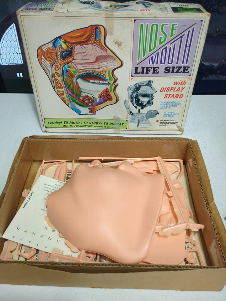 Vintage 1968 Pyro Nose Mouth Anatomy Life Size Model Kit Unassembled Complete - Image 1 of 4